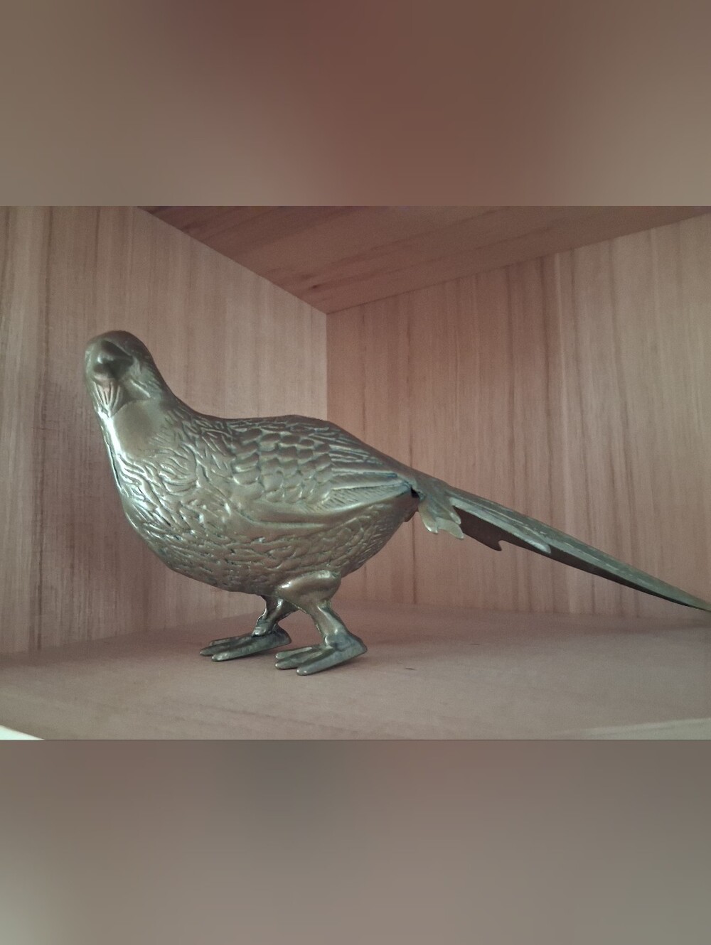 Brass-Colored Pheasant